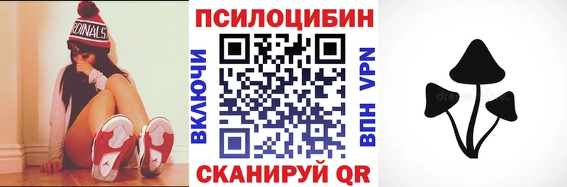 Псилоцибиновые грибы GOLDEN TEACHER  Грозный 