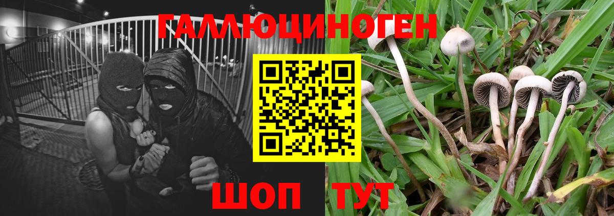 Грозный  Галлюциногенные грибы Magic Shrooms  Вход с VPN 