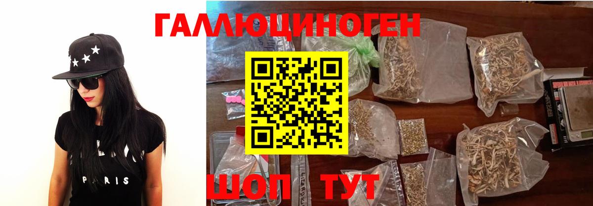 Псилоцибиновые грибы Psilocybine cubensis Грозный