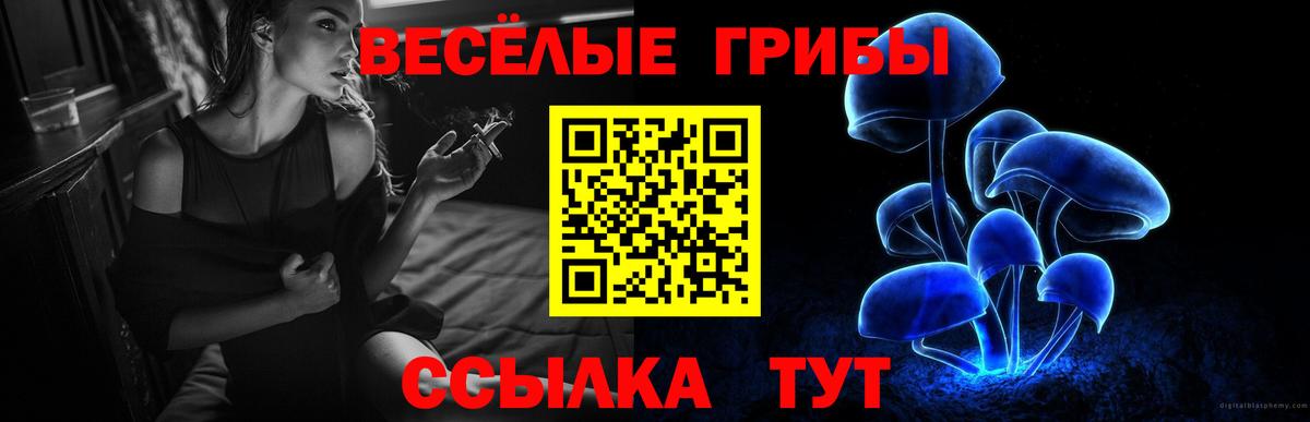 Псилоцибиновые грибы ЛСД Грозный