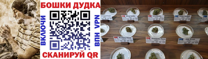 OMG как зайти  Грозный  Каннабис гибрид 